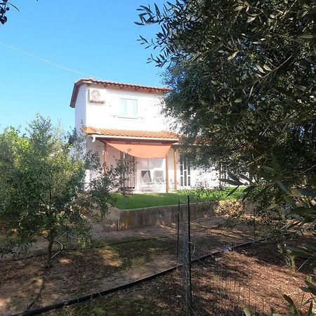 Spiti Ostria Villa Éjo Kültér fotó